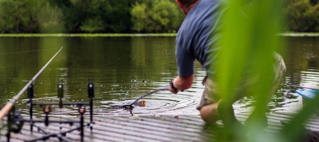 Prologic - Catching carp is much more than just fishing, it's a